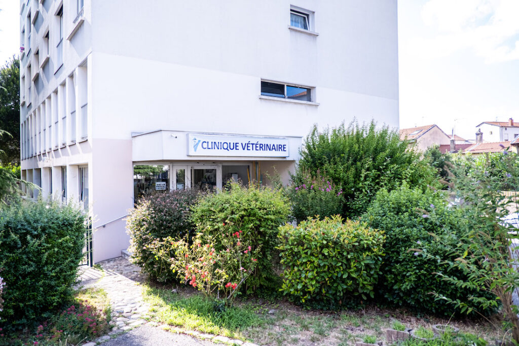 Clinique vétérinaire